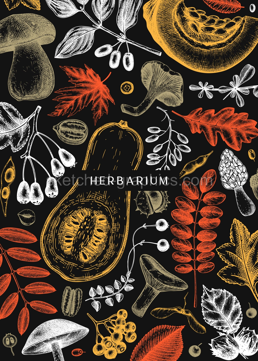 Hand sketched autumn card or invitation design in color. Elegant botanical template with autumn leaves, berries, seeds, nuts, mushroom sketches. Perfect for flyers, menu, label, packaging.  Illustration